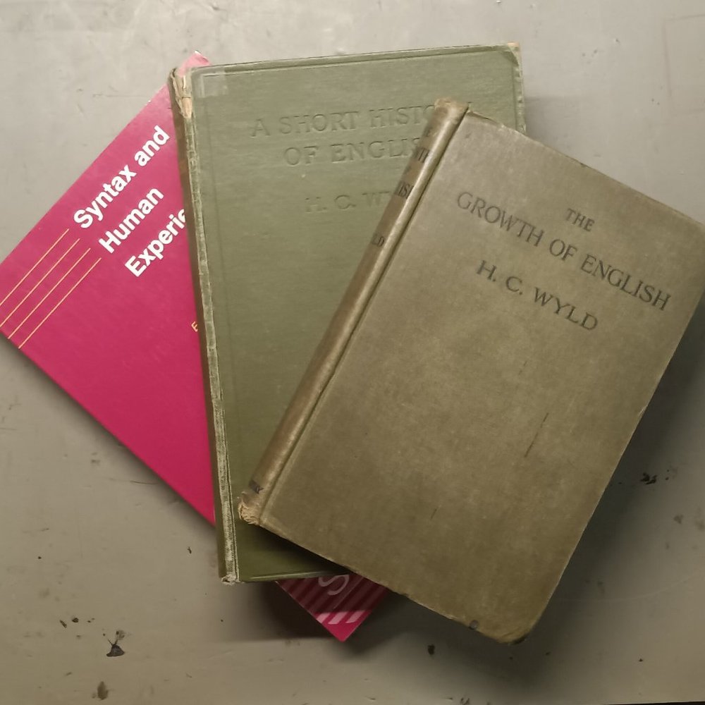 Critical Language Awareness (CLA) Book Bundle gift for your sweet genius